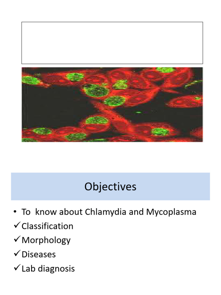 Chlamydia and Mycoplasma Overview | PDF | Mycoplasma | Medical Specialties