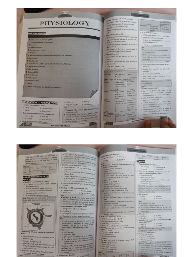 Cns Physiology Mcqs | PDF