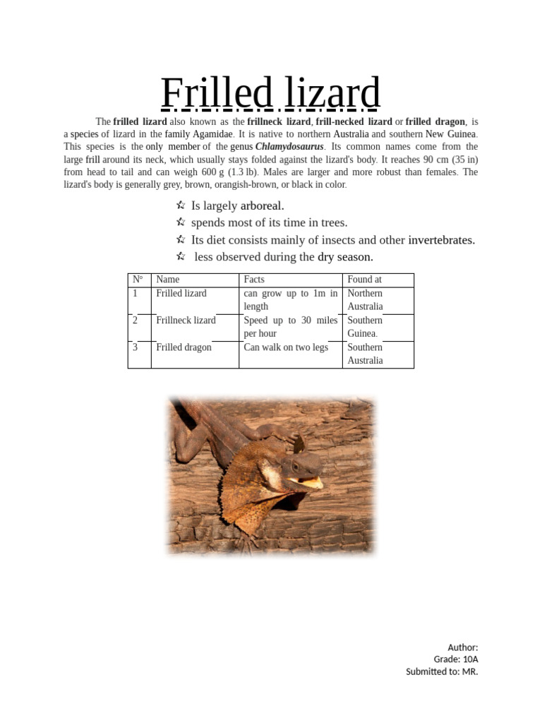 Frilled Lizard | PDF
