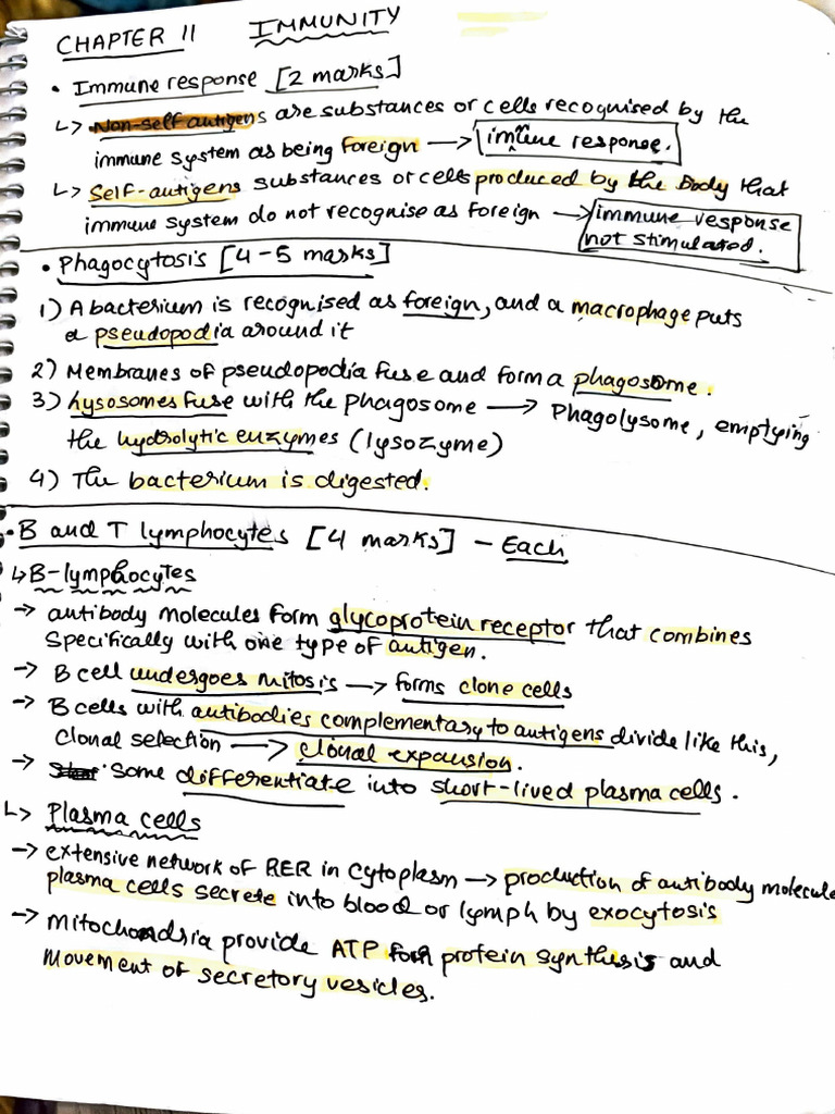 Blood Cell Function and Immune Response | PDF