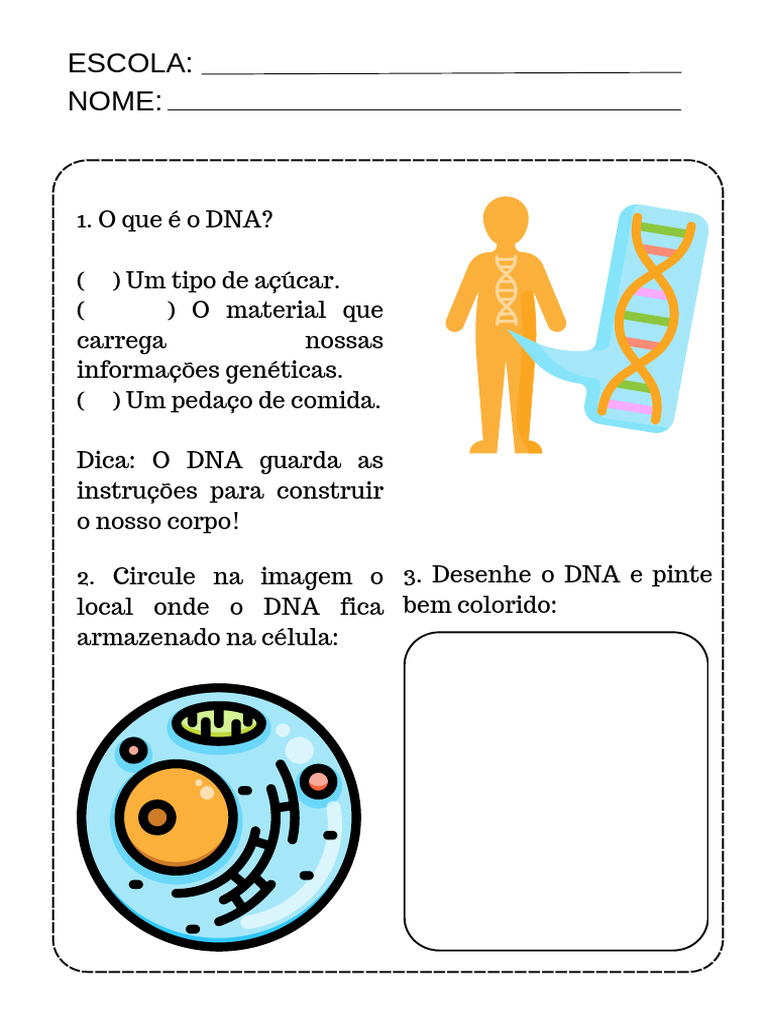 Entendendo o DNA e sua Função | PDF