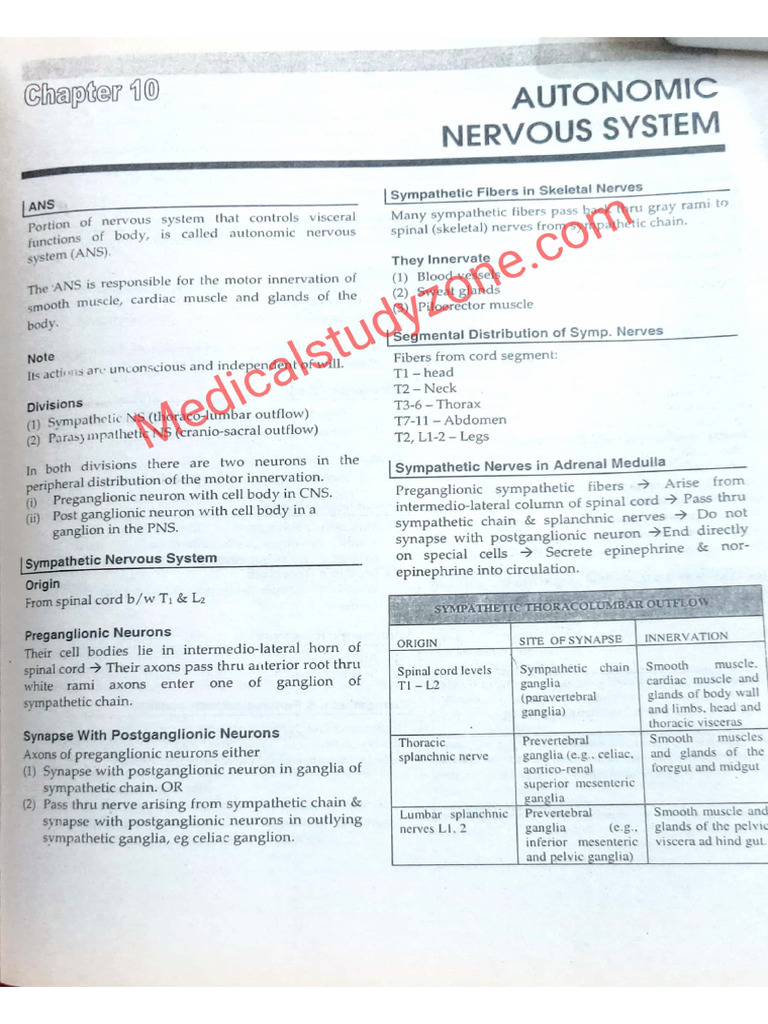 ANS | PDF