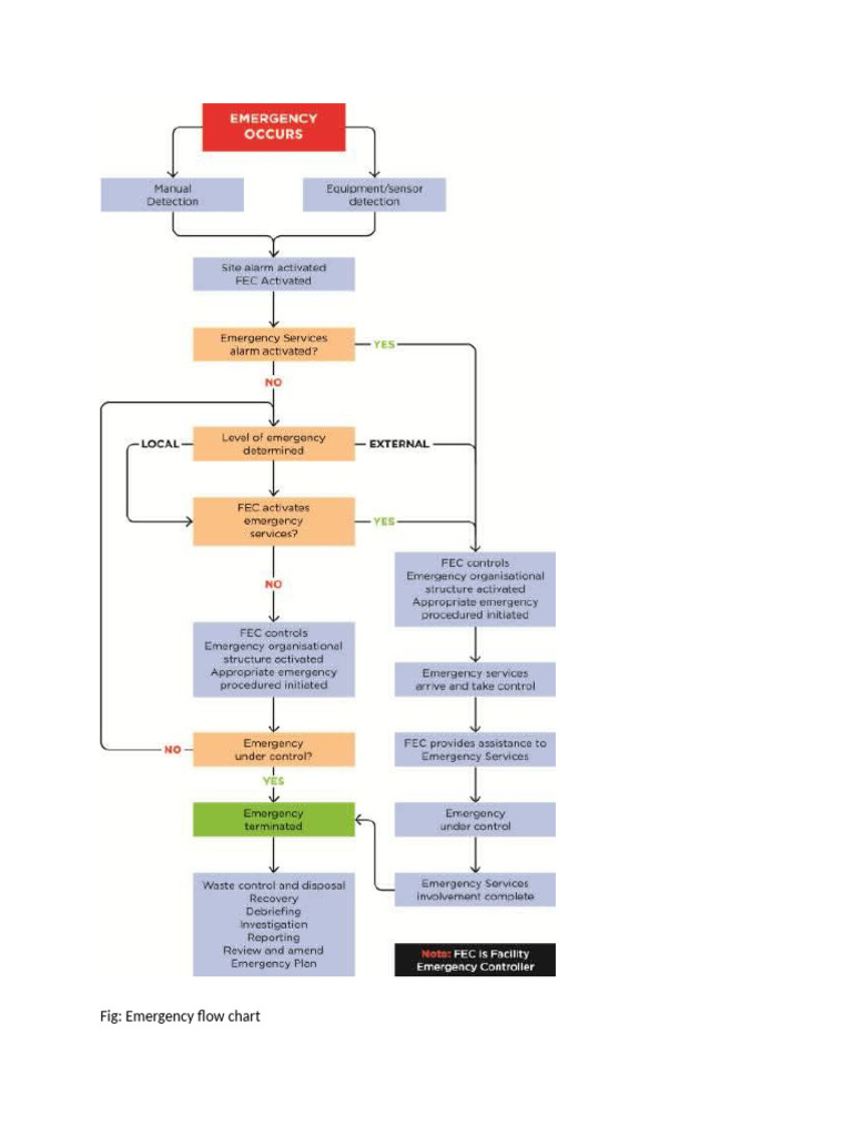 Emergency response flow chart | PDF