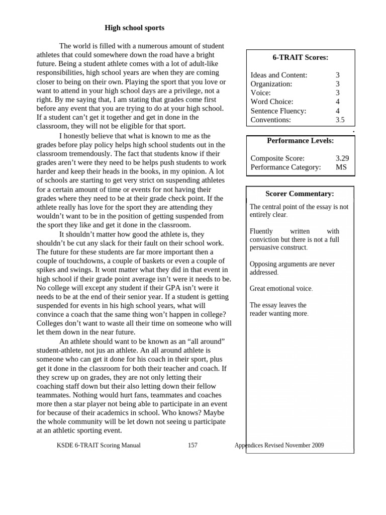 Persuasive Essay Example 23 | PDF