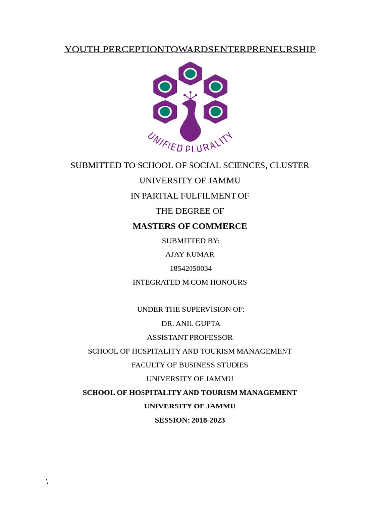 Youth Perception of Entrepreneurship in India | PDF | Entrepreneurship ...