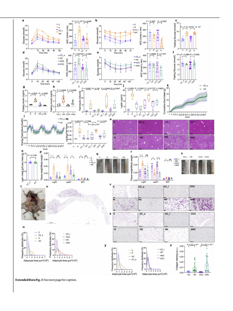 Adipose Tissue Retains An Epigenetic Memory 2-1 | PDF | Adipocyte ...