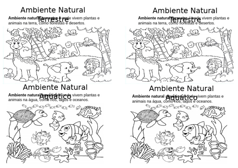 Ambientes Naturais: Terrestre e Aquático | PDF