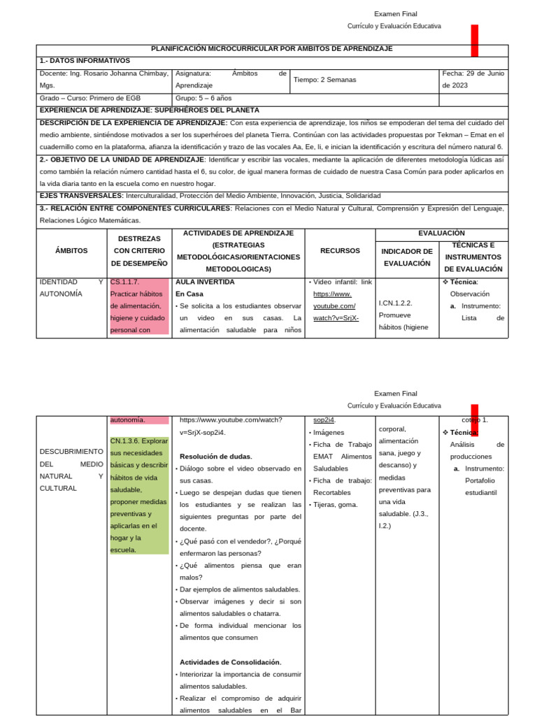 Planificación Microcurricular EGB 1 | PDF | Evaluación | Plan de estudios