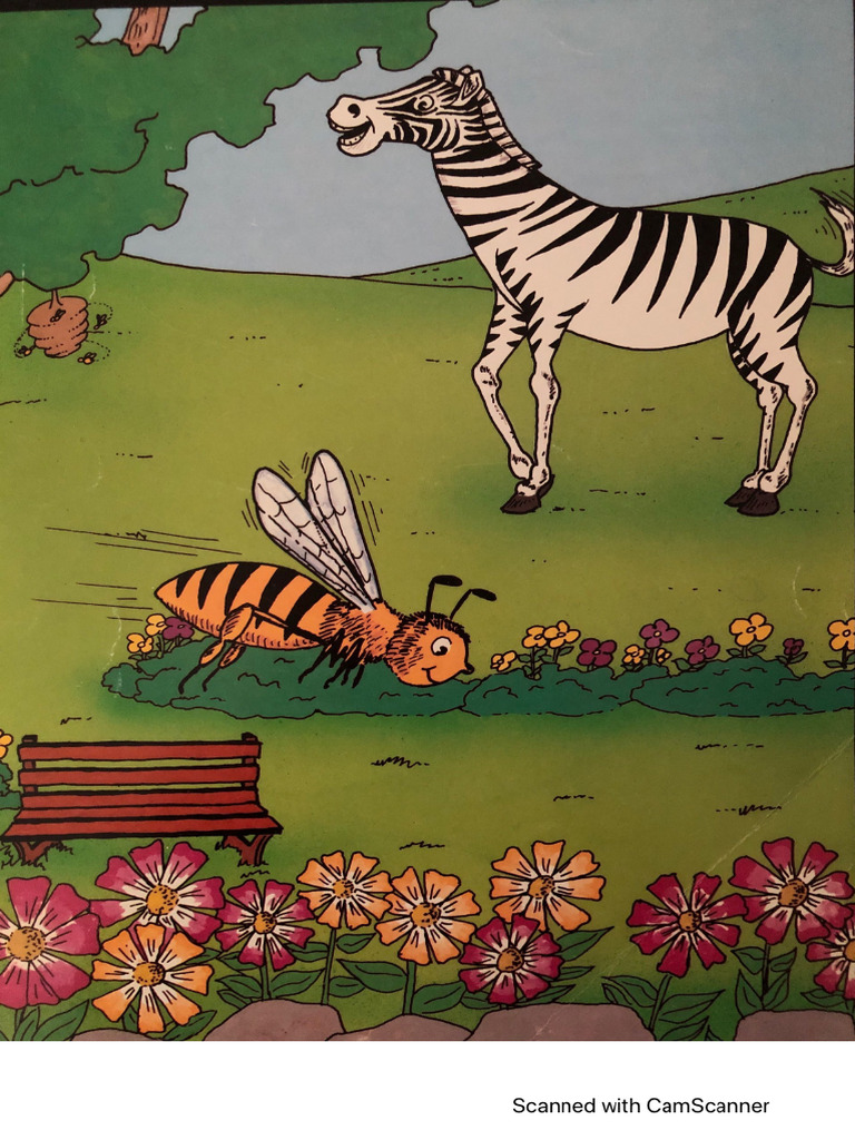 Zebra | PDF