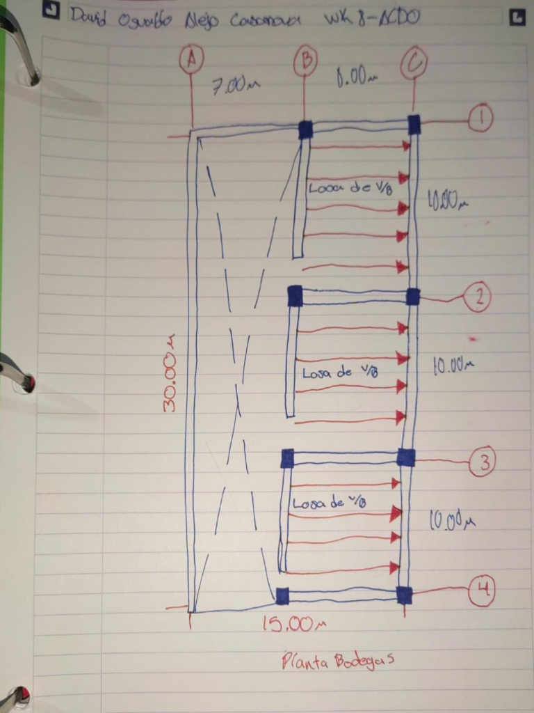 Wk8 Acdo Repr Losa VB | PDF