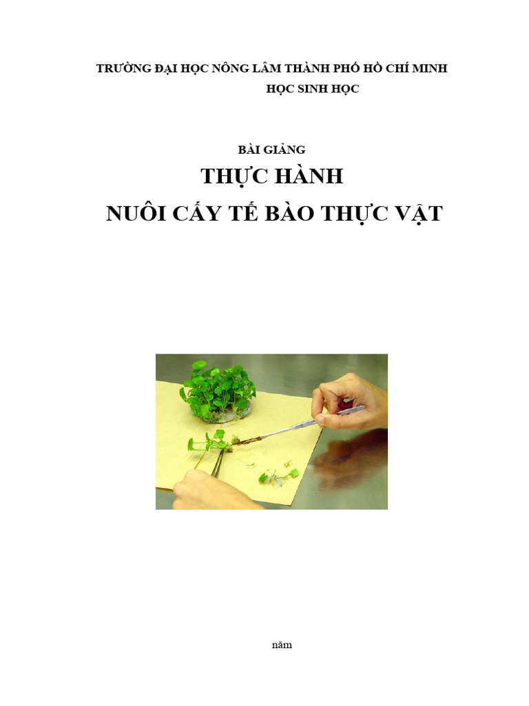 Bài giảng Thực hành Nuôi cấy mô TBTV | PDF
