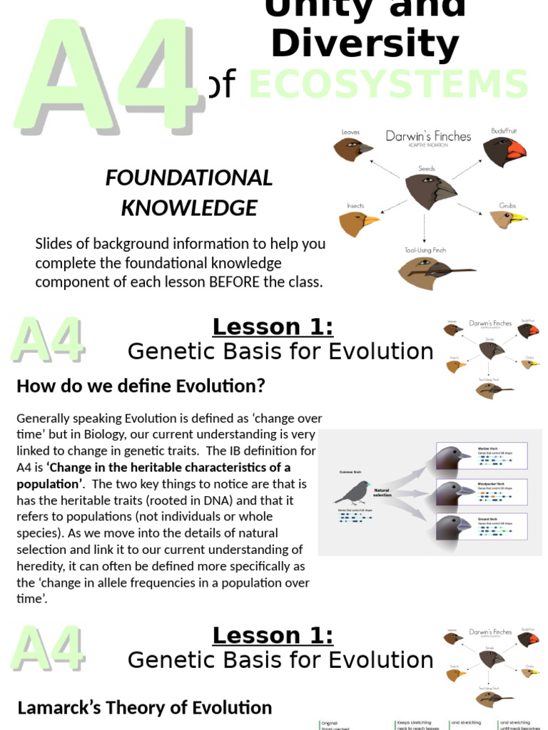 Evolution: Genetic Basis and Theories | PDF | Evolution | Heredity