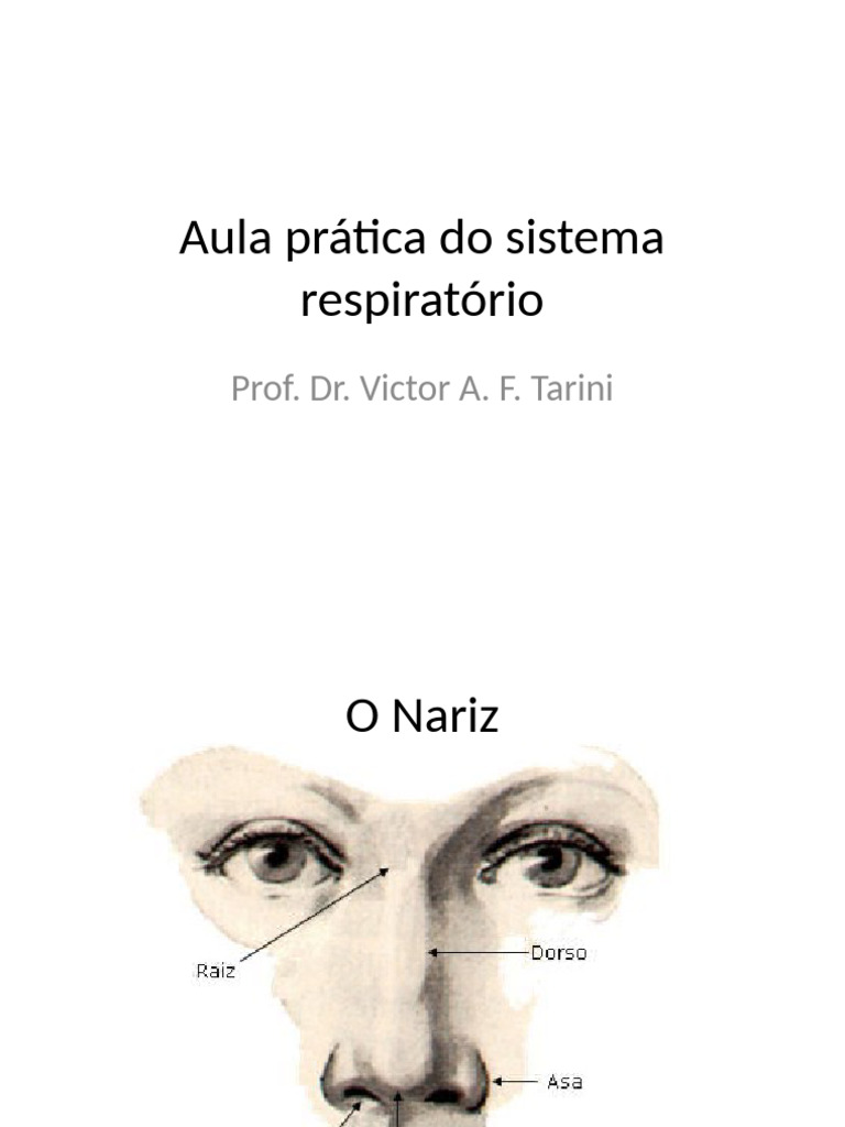 Aula Prática Do Sistema Respiratório Pdf