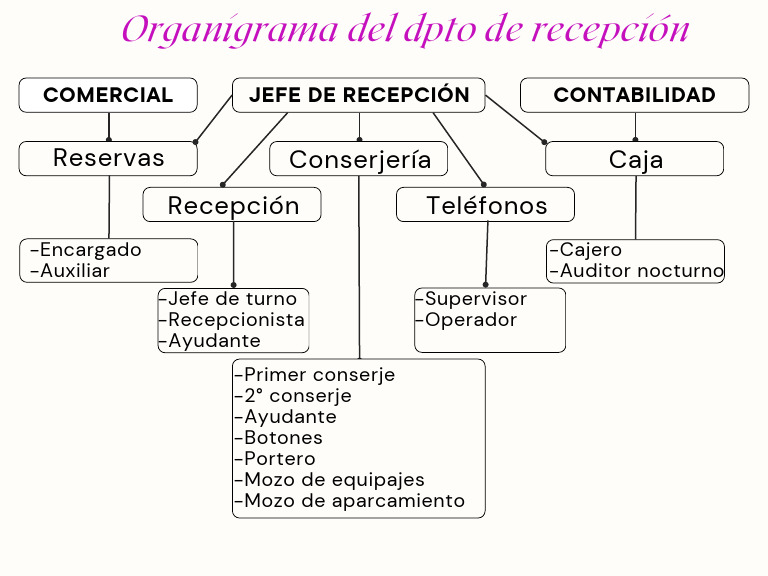 Organigrama del Departamento de Recepción | PDF