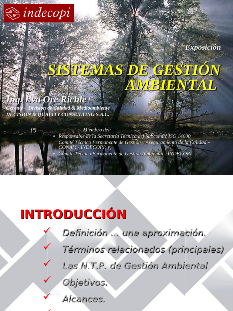 Presentacion 4 - Sistema de Gestion Ambiental ISO 14000 | PDF | Entorno ...