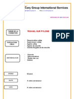 Travail Sur Pylone