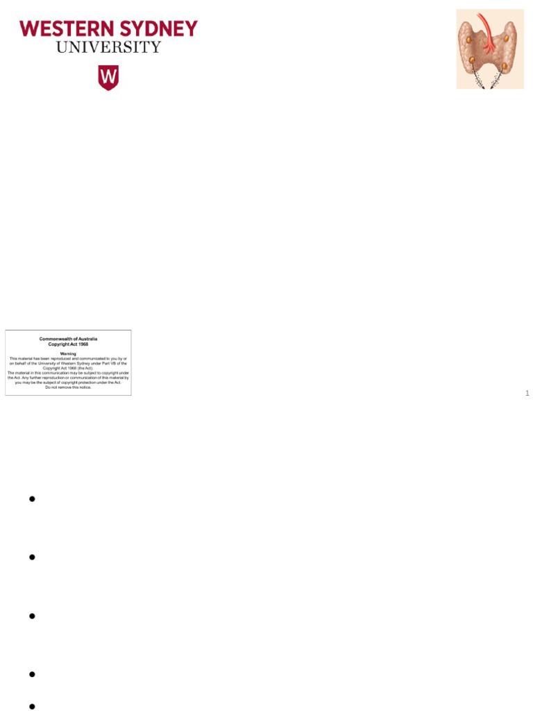 Overview of the Endocrine System | PDF | Adrenal Gland | Endocrine System