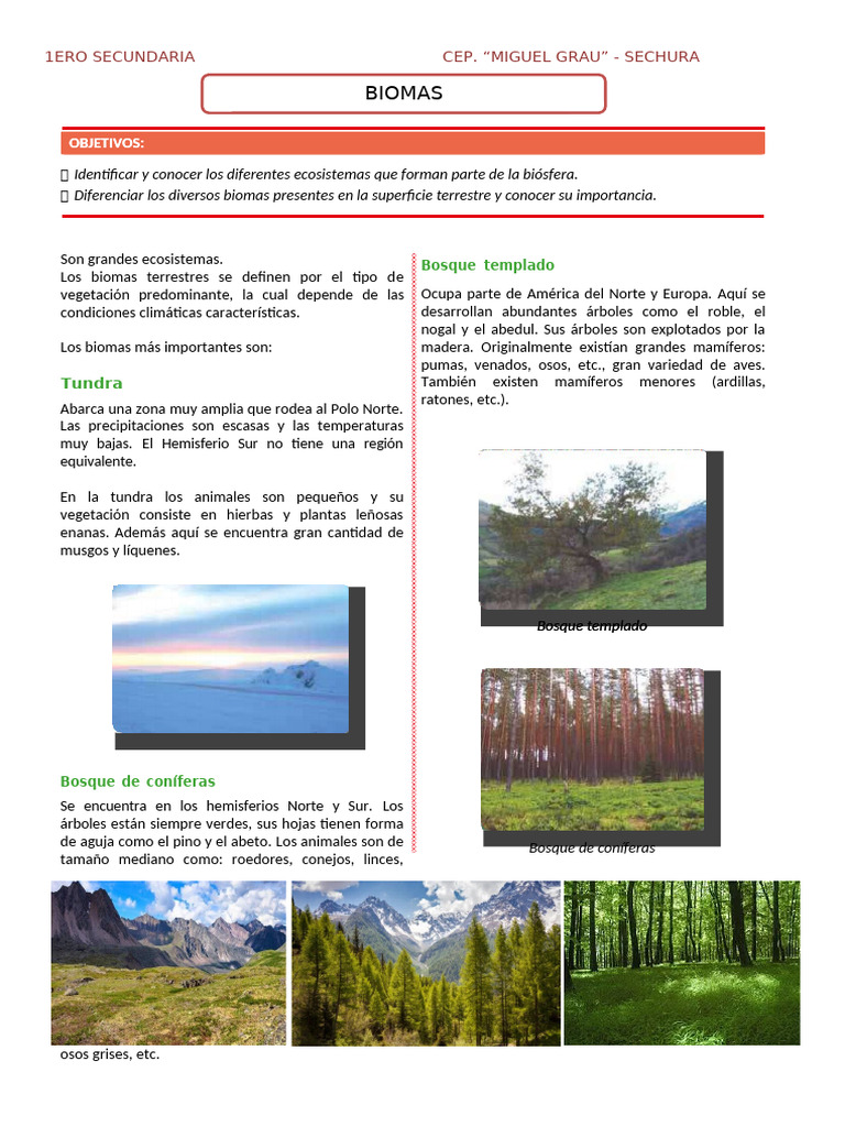 Biomas - Primero de Secundaria | PDF | Sabana | Los bosques