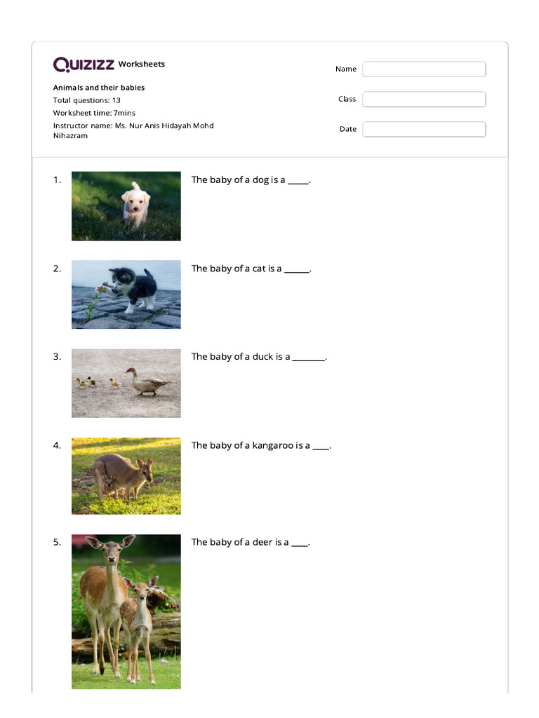 Animals and Their Babies Worksheet | PDF