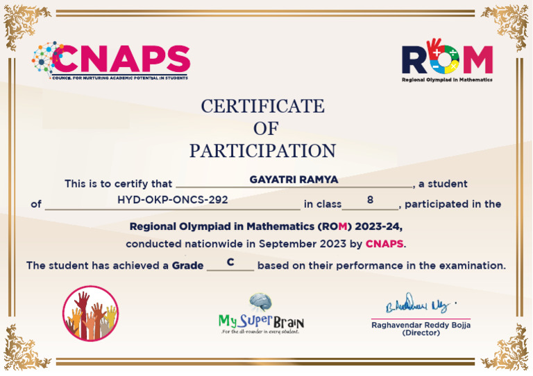 Certificate of Participation: ROM 2023-24 | PDF