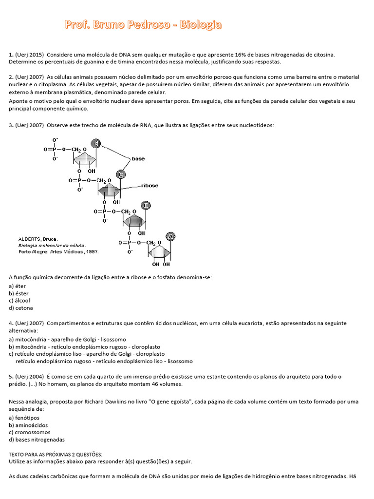 Questões sobre DNA e RNA em Biologia | PDF | DNA | Gene