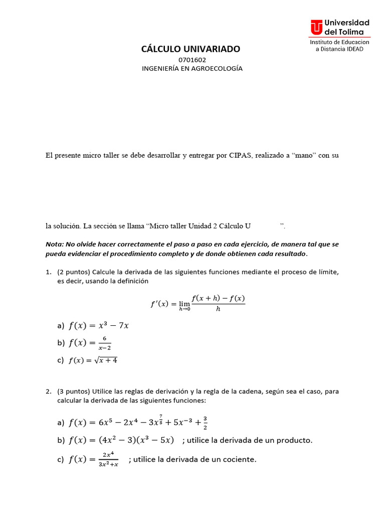 Micro Taller Unidad 2 Cálculo Univariado 2024B | PDF