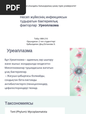 Жыныстық жастыққа арналған жиһаз