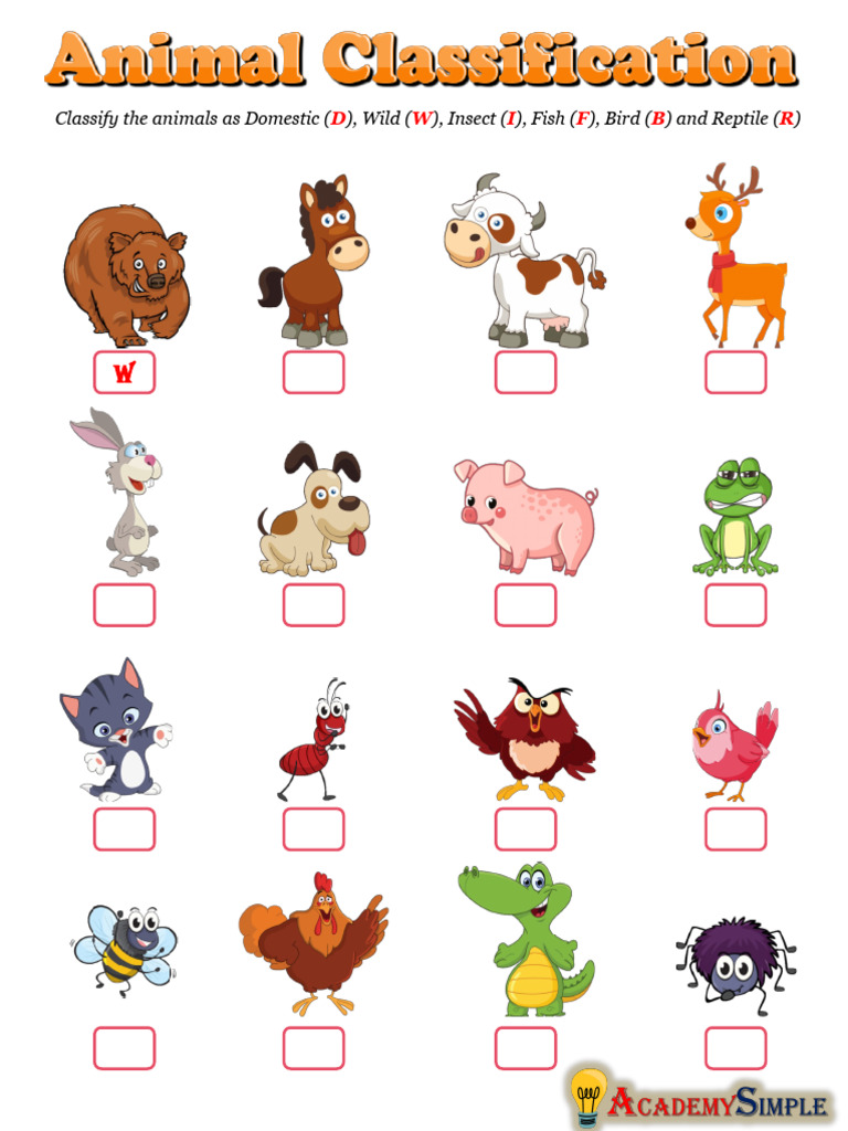 Animal Classification Guide | PDF