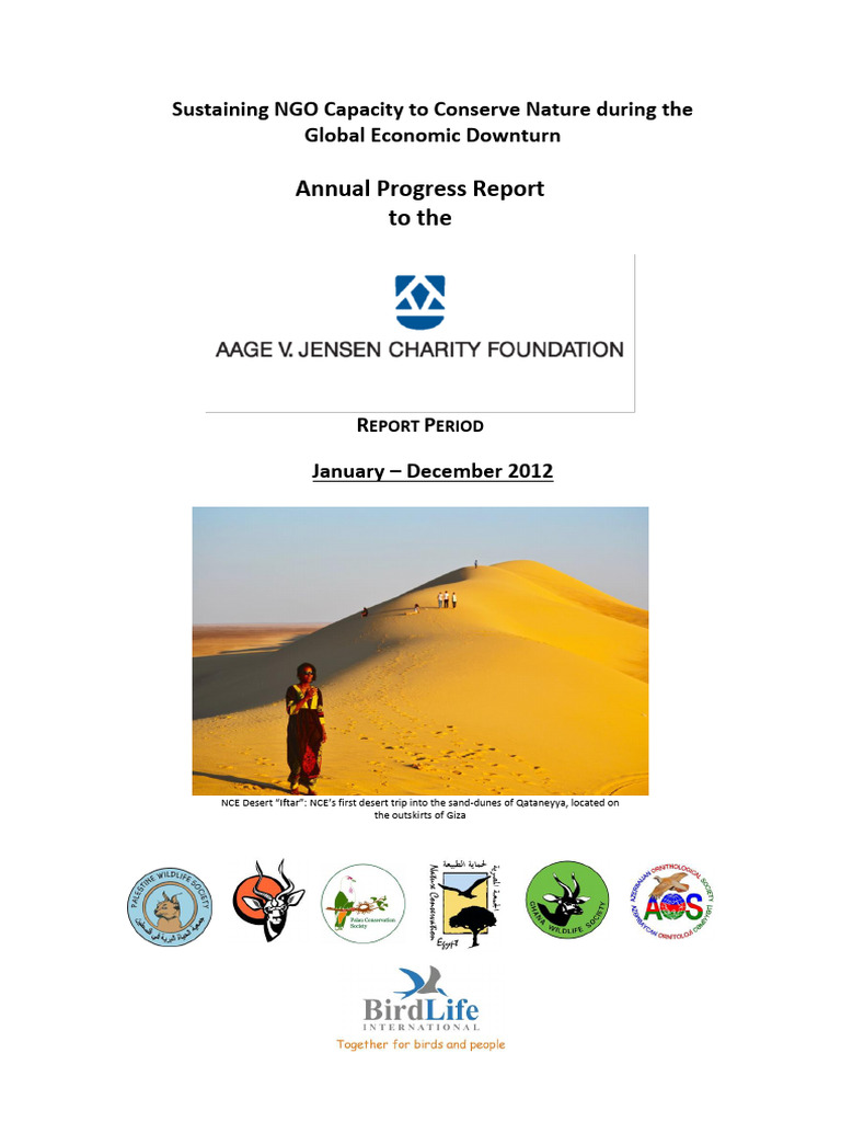 NGO Capacity Building Amid Economic Crisis | PDF | Non Governmental ...