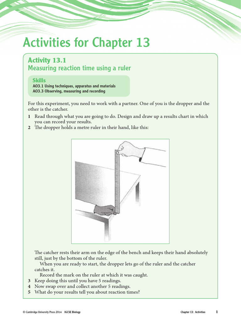 Measuring Reaction Time with a Ruler | PDF