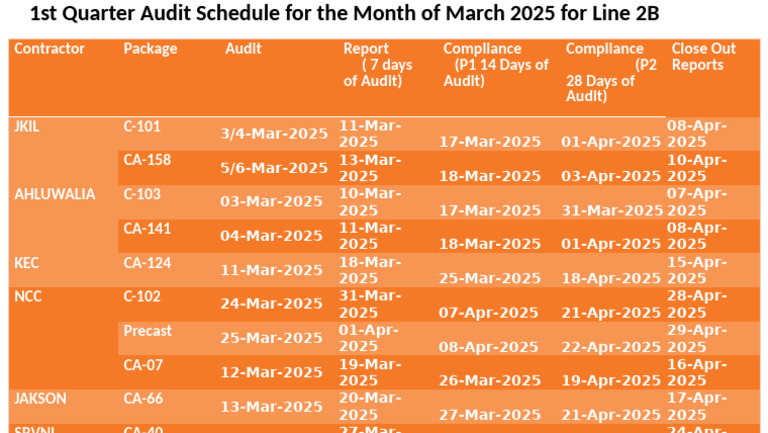 Audit Schedule March 2025 PDF