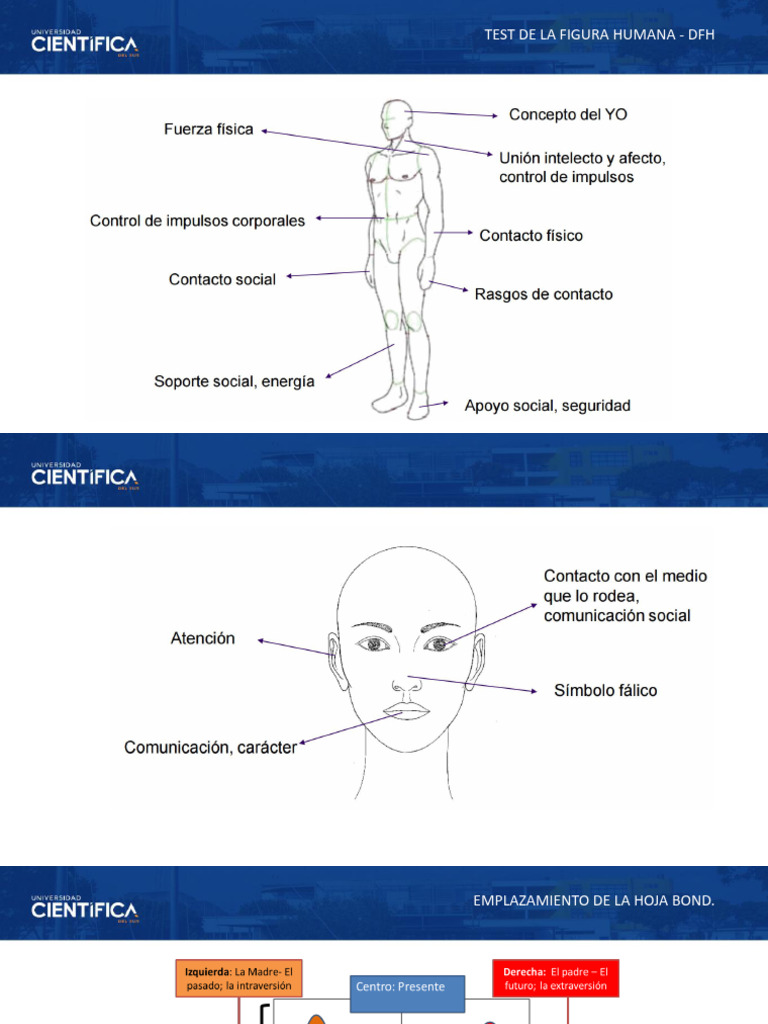 Teste Humana | PDF | Timidez | Cara