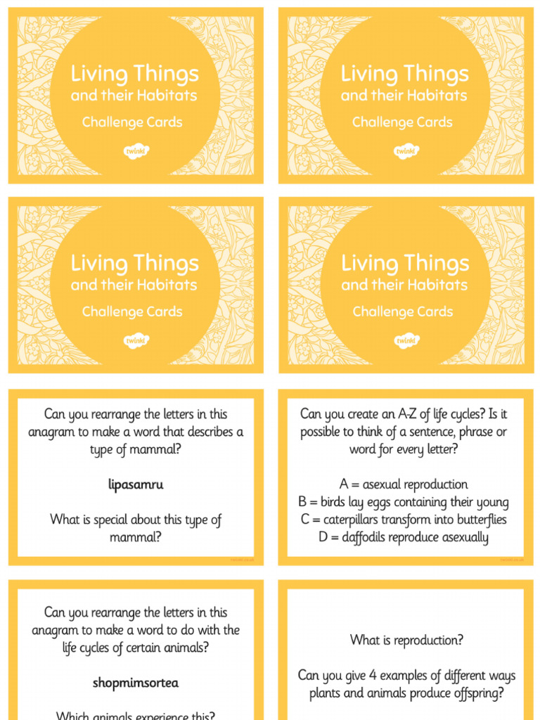 Challenge Cards | PDF