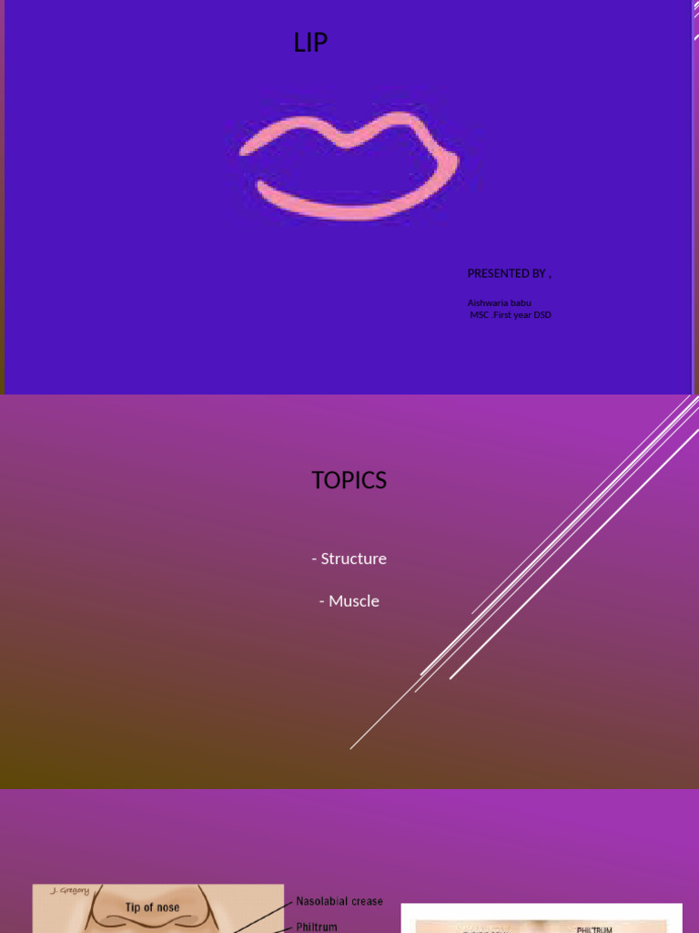 Anatomy and Structure of Lips | PDF | Lip | Human Anatomy