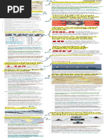 Print Edition: 30 April 2014 | PDF | Kidnapping | Track Gauge