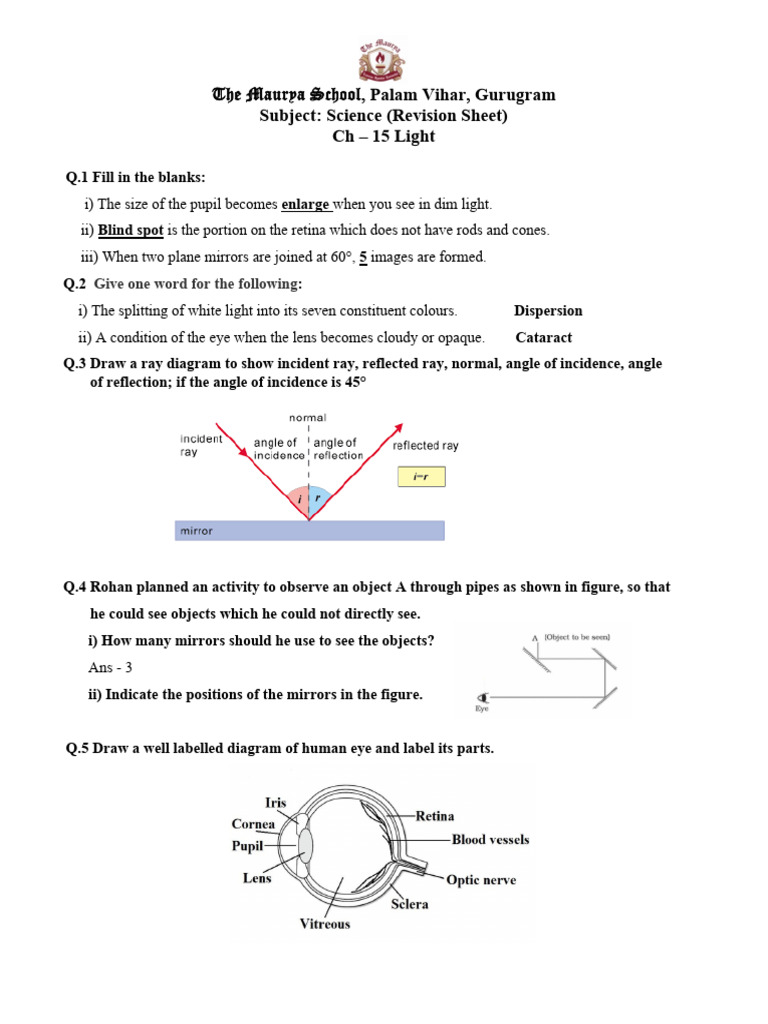 Grade 8 Science Revision Sheet | PDF | Mars | Cell (Biology)