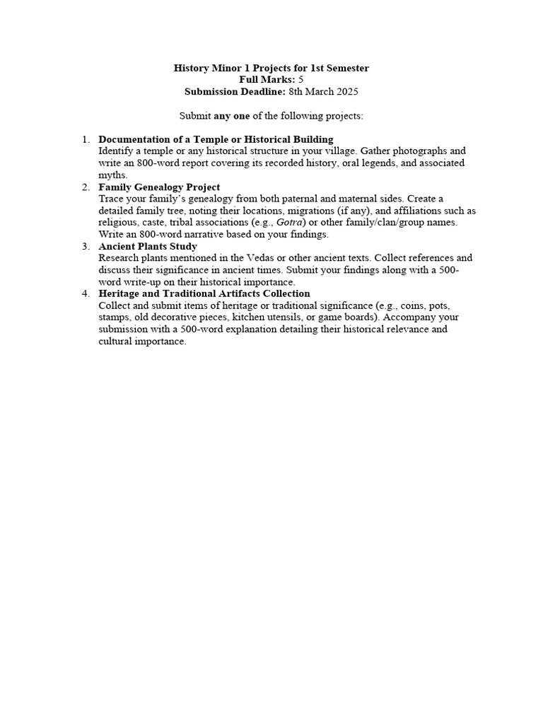 First Semester History Minor Projects | PDF