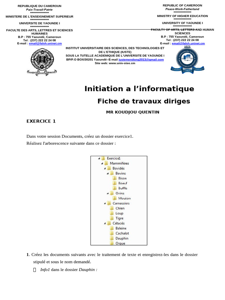 Initiation à l'informatique et dossiers | PDF | Fichier informatique