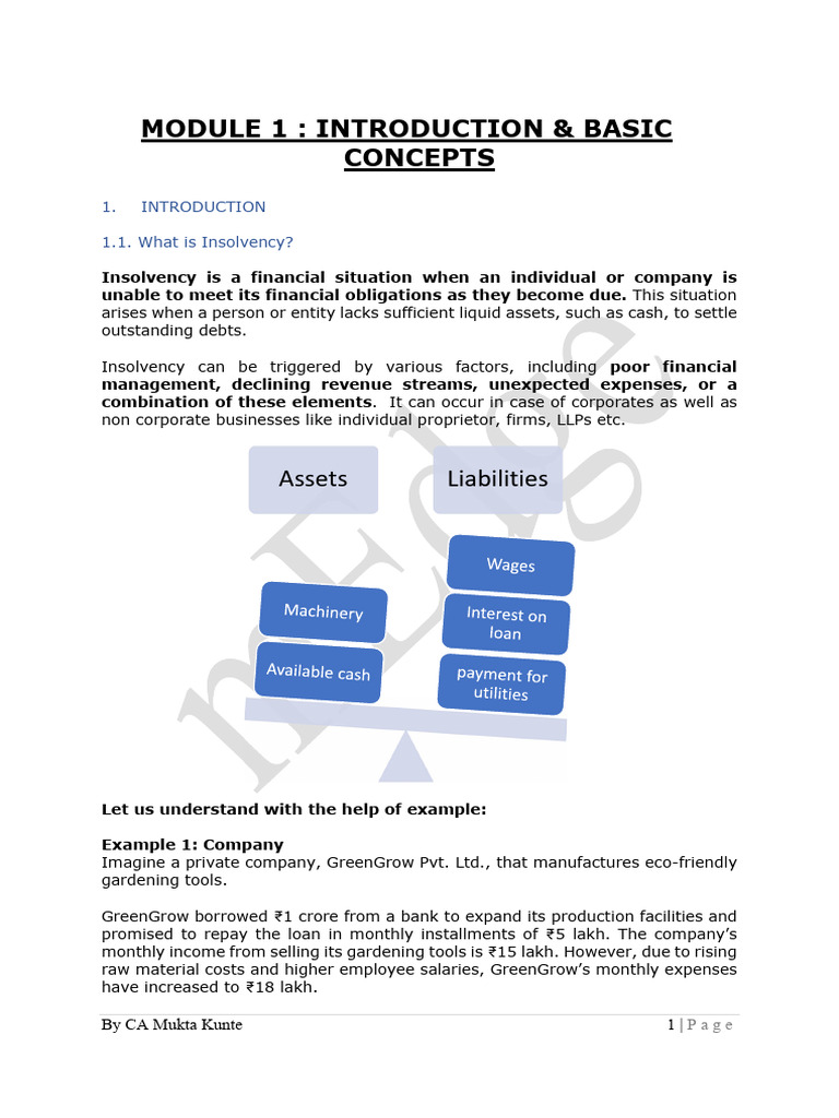 M1-Introduction To IBC and Basic Concepts | PDF | Bankruptcy | Insolvency