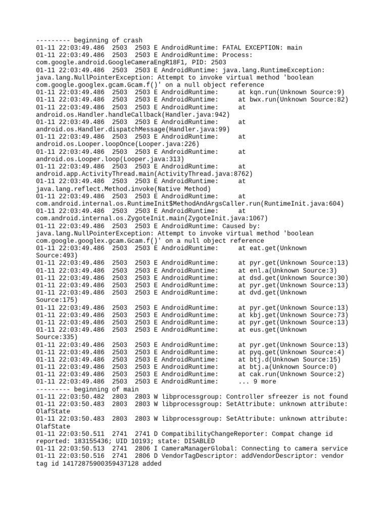Logcat1736607830450 pdf java programming language software