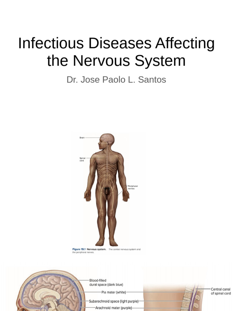 Infectious Diseases Affecting The Nervous System 1 | PDF | Botulinum ...