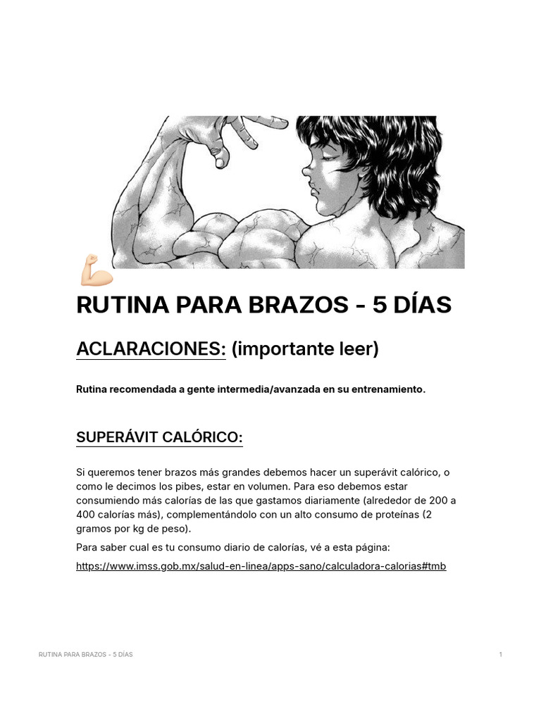 Rutina de Ejercicios para Brazos 5 Días | PDF