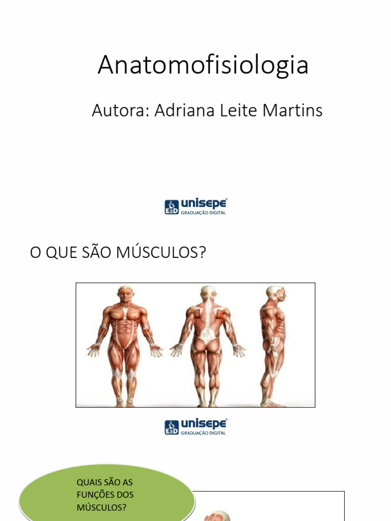 Anatomofisiologia Un 1 Cap5 | PDF