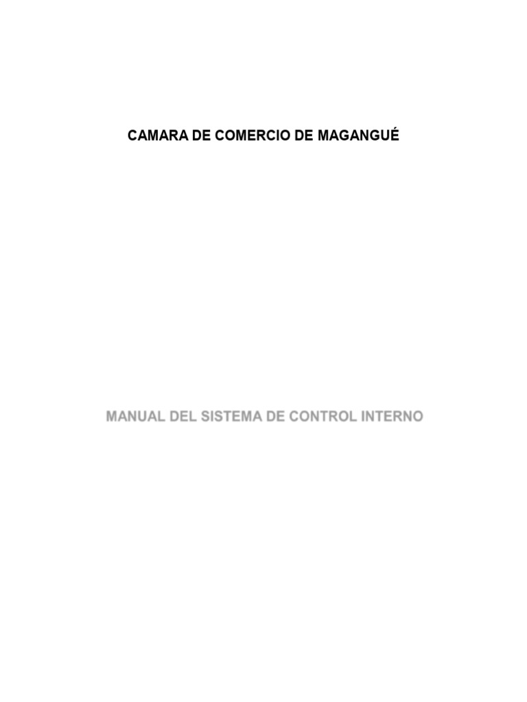 Manual de Control Interno Magangué | PDF | Riesgo | Contabilidad