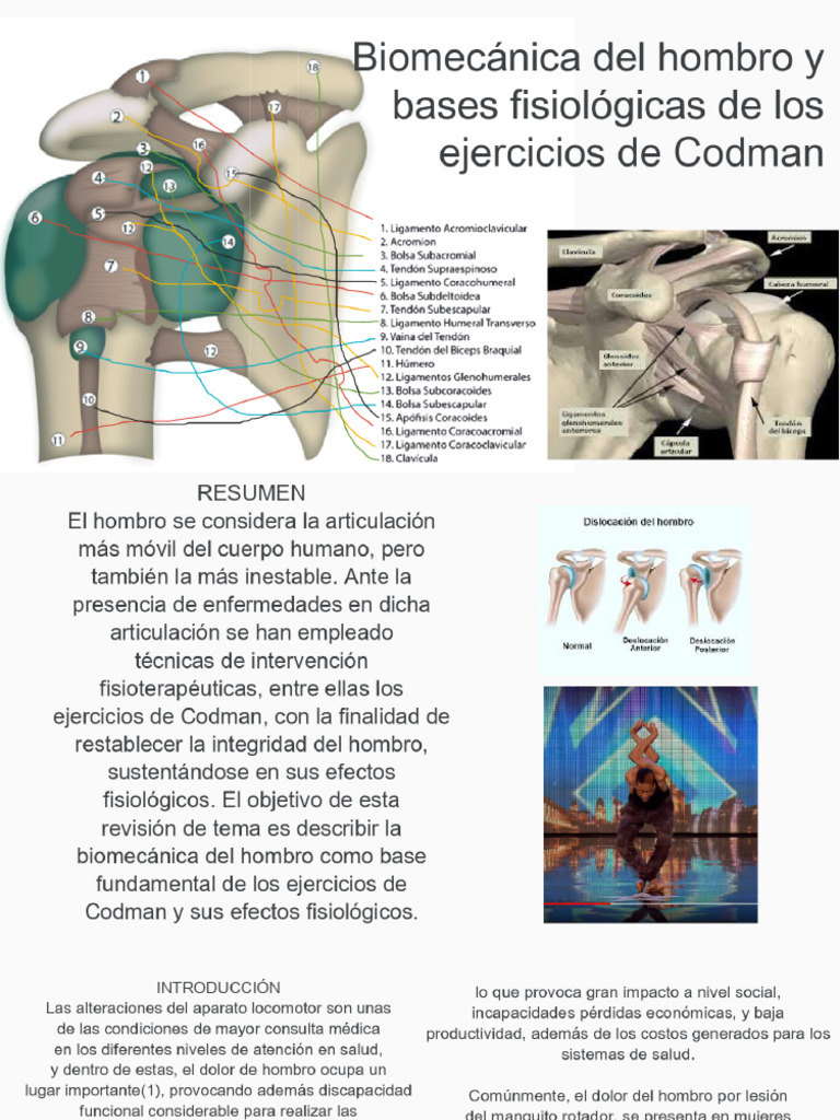 Biomecánica Del Hombro y Bases Fisiológicas de Los Ejercicios de Codman ...