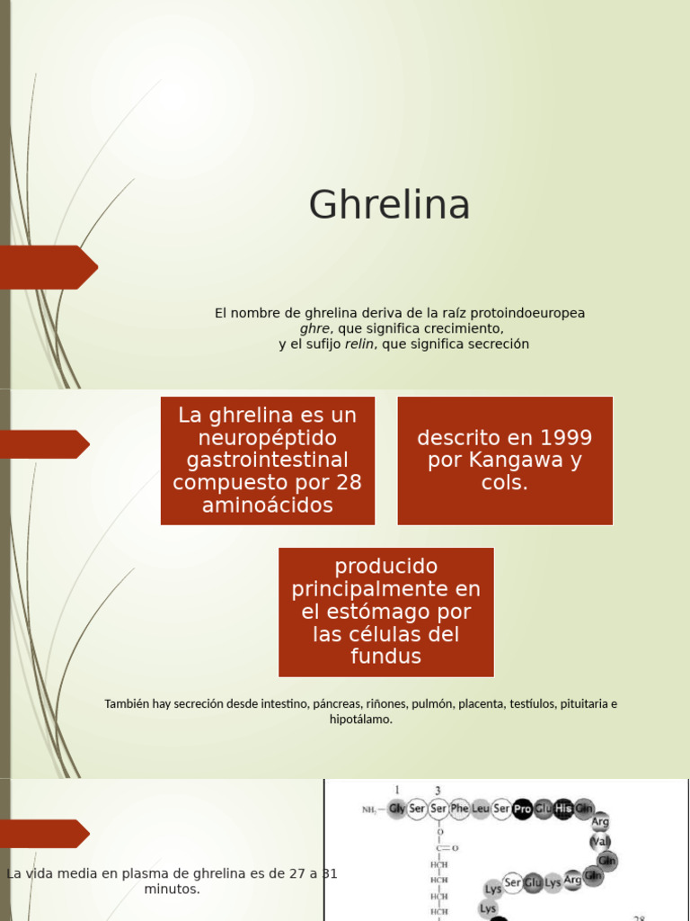 Ghrelina | PDF | Hormona | Sistema endocrino