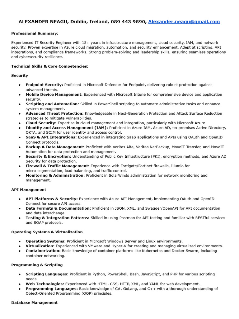 IT Security Engineer Profile | PDF | Security | Computer Security