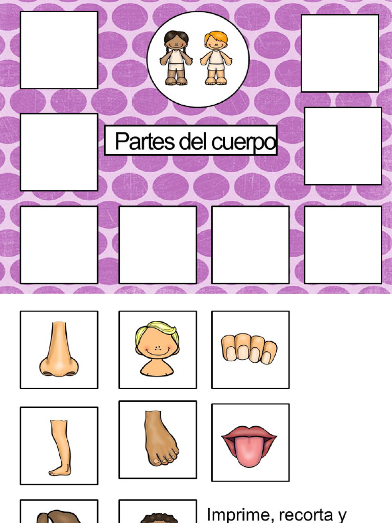 Tableros para Clasificar Por Categorías Por Materiales Educativos ...
