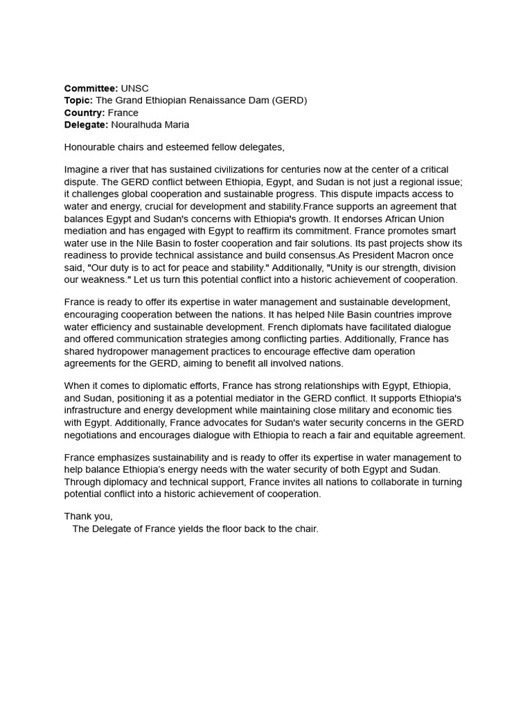 Gerd Conflict France S Diplomatic Role Pdf Global Politics