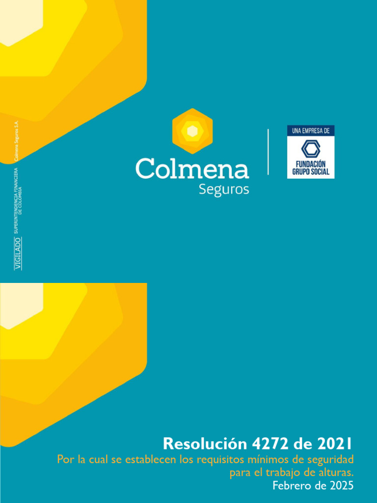 Capacitación Res.4272 | PDF